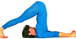 Asana del arado Asana del arado-Cabeza y hombros en el suelo pies haciaatras por encima de la cabeza tocando el suelo