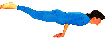 Asana del Peacock Asana del Peacock