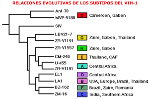 Relación evolutiva del subtipos de vih-1