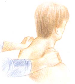 Agarra la parte superior de los hombros y masajéalos profundamente, desde la base del cuello hasta el borde exterior. Alterna pases pequeños, profundos y circulares con él pulgar, con otros más grandes con la palma de la mano. 
