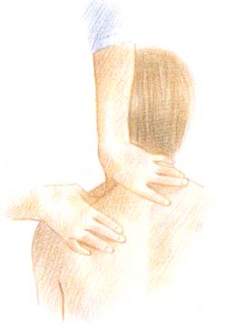 Desliza los pulgares haciendo presión desde los hombros hasta la base del cuello. Estira los tejidos sin llegar a hacer daño.